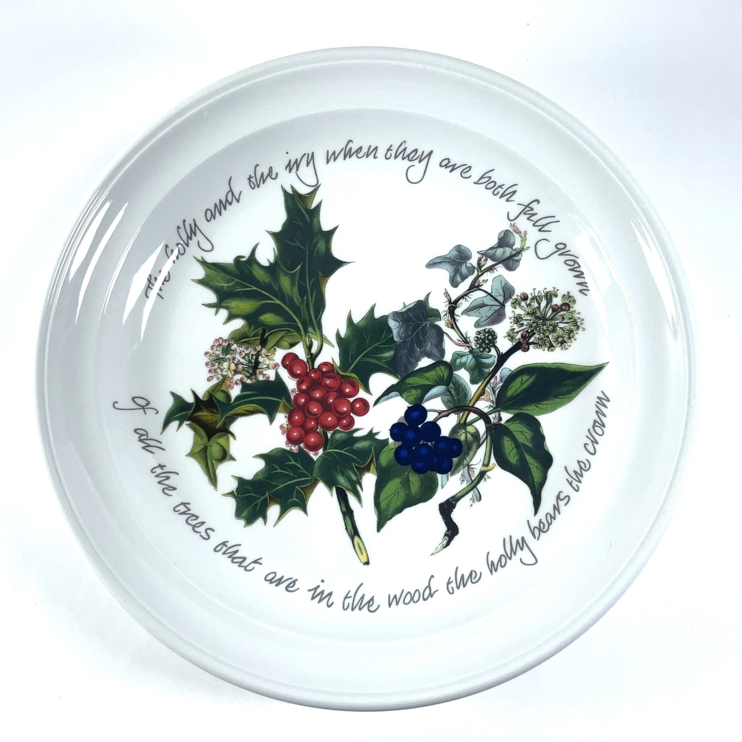 Portmeirion The Holly & The Ivy 8.5” Salad Plates Set of 6 Anwyl Cooper-Willis Made in Britain